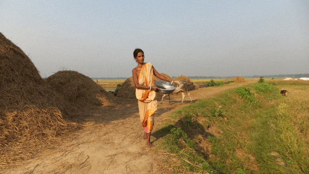 Lady in fields with cow in background