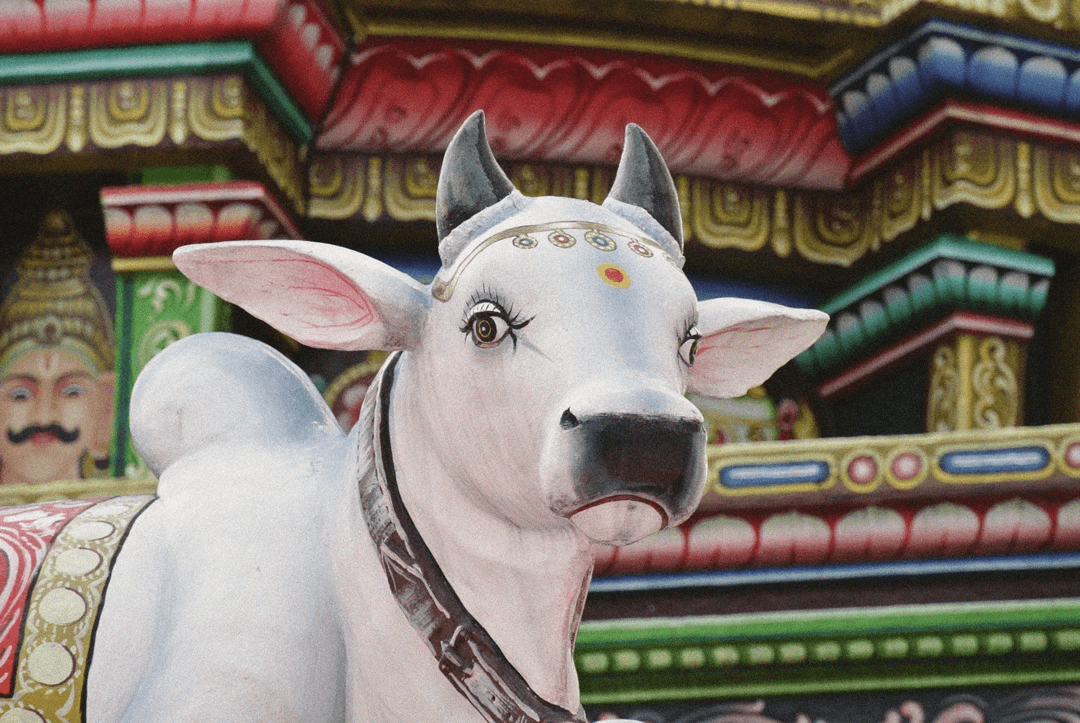 Kaamdhenu statue