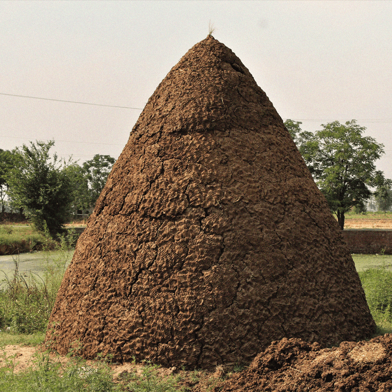 Cow Dung Cakes Heap