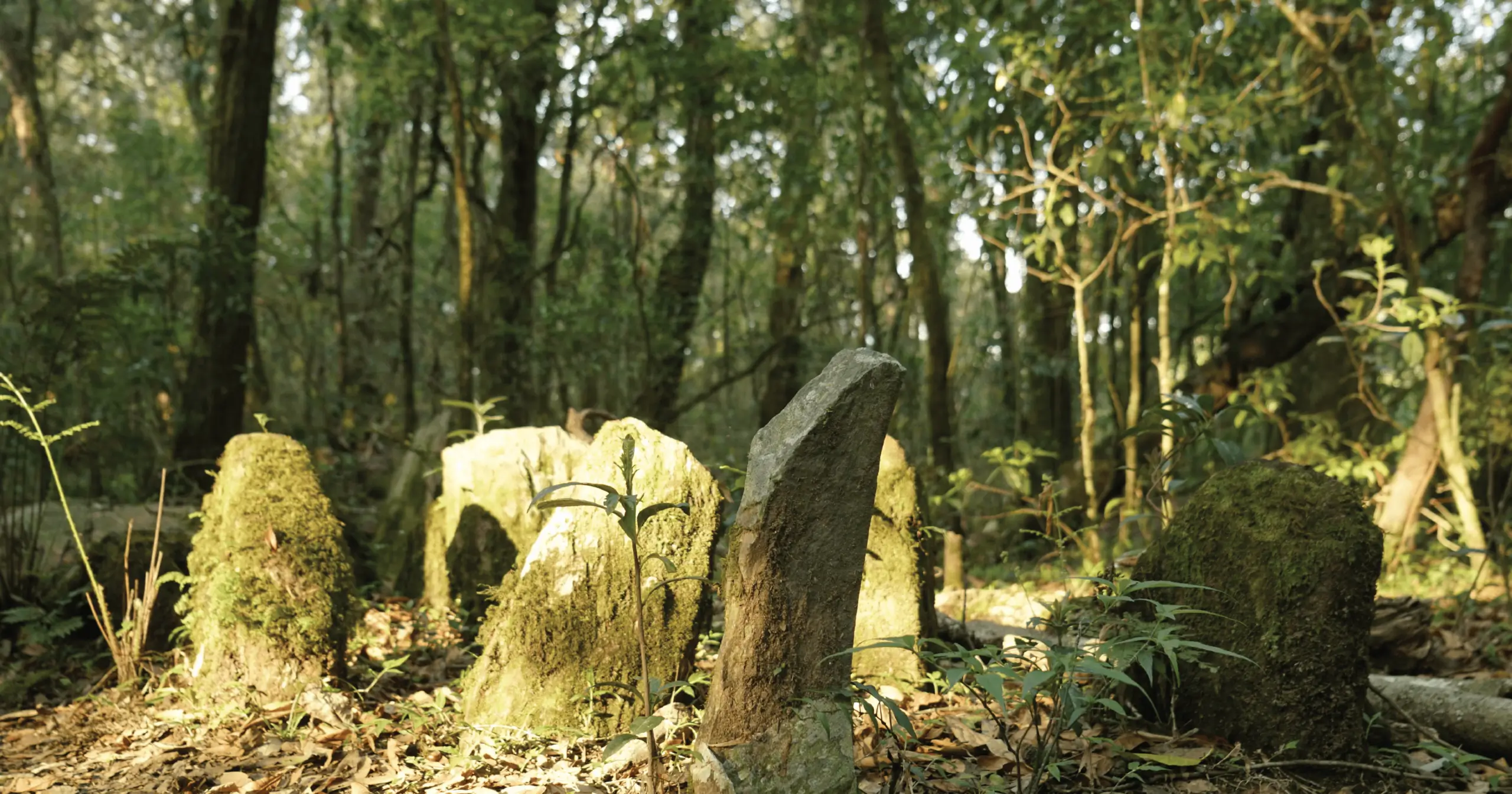 Stone Altars in Mawphlang