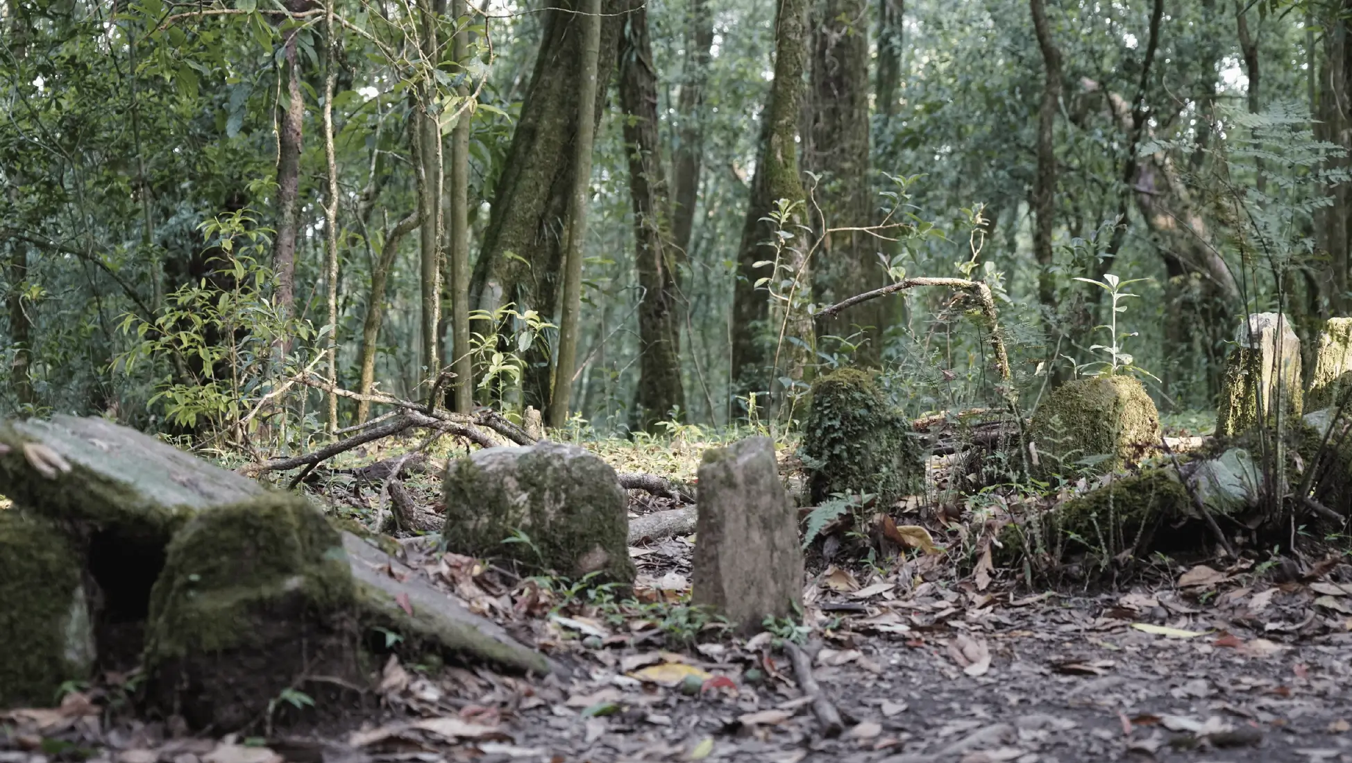 Stone Altars in Mawphlang