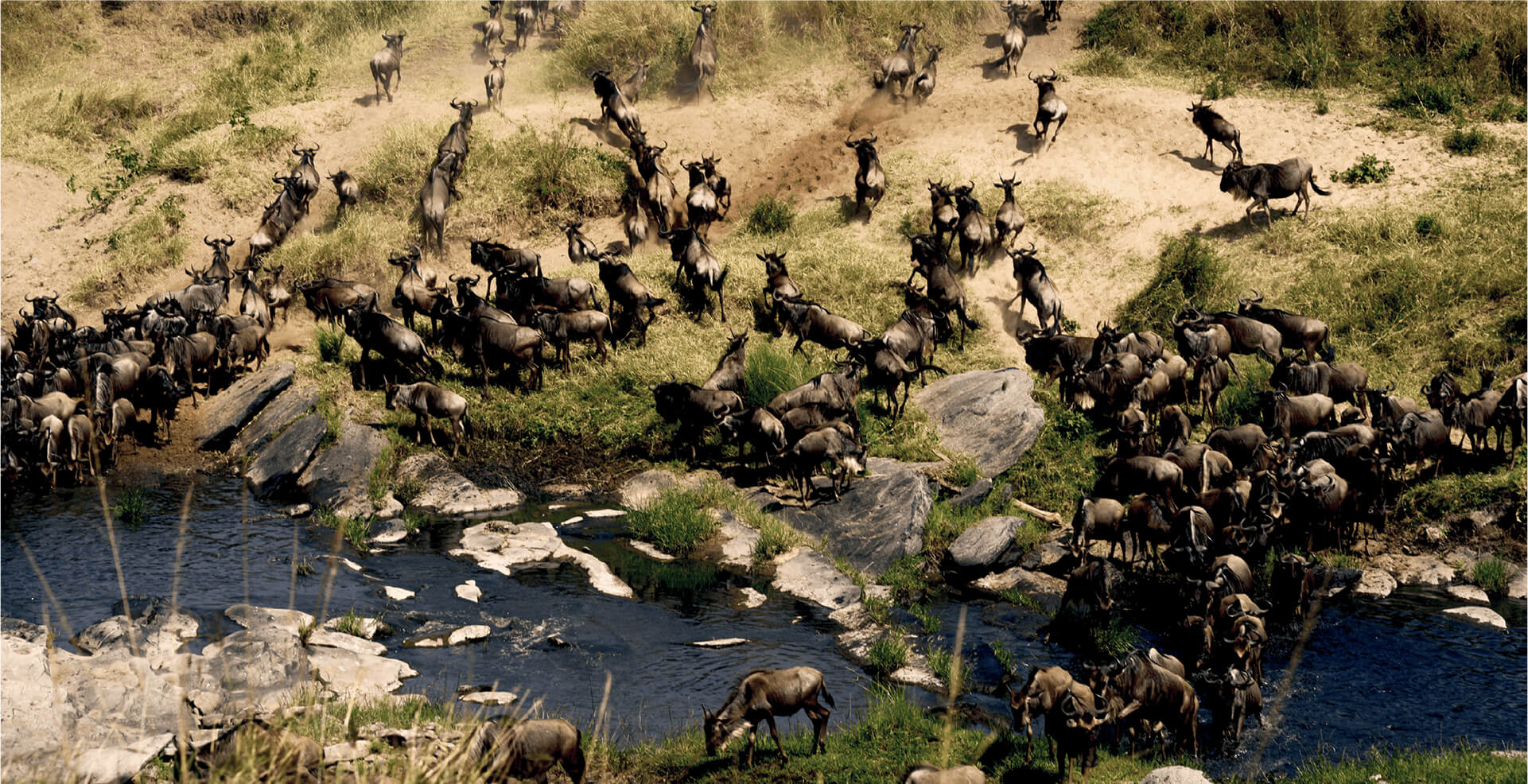 The Great Migration Map