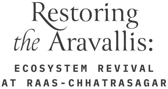 Restoring the Aravallis: Ecosystem Revival at RAAS-Chhatrasagar - Banner