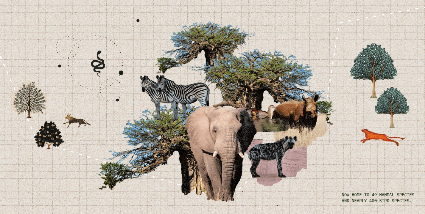 Mapesu - Home to 49 Mammal & 400 Bird Species