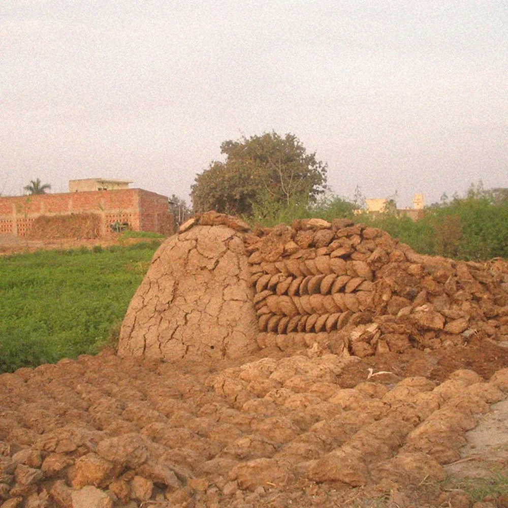 Cow dung cakes