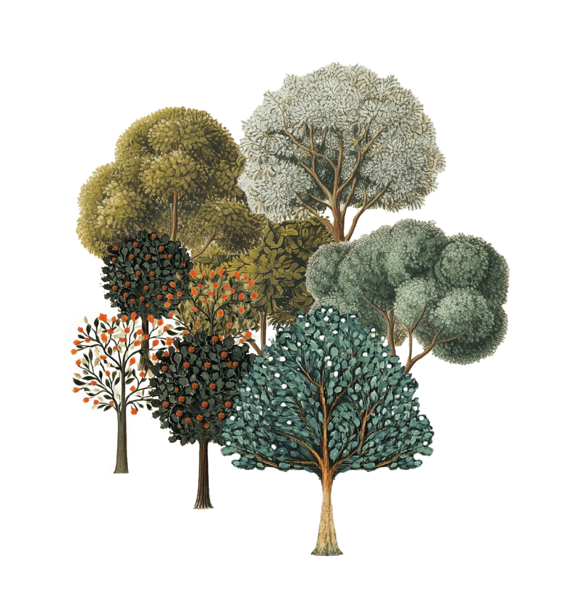 Sacred Forests