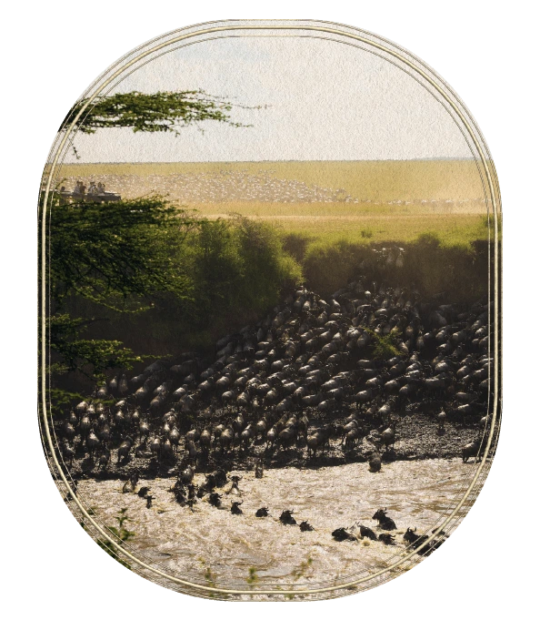 Serengeti-Mara ecosystem