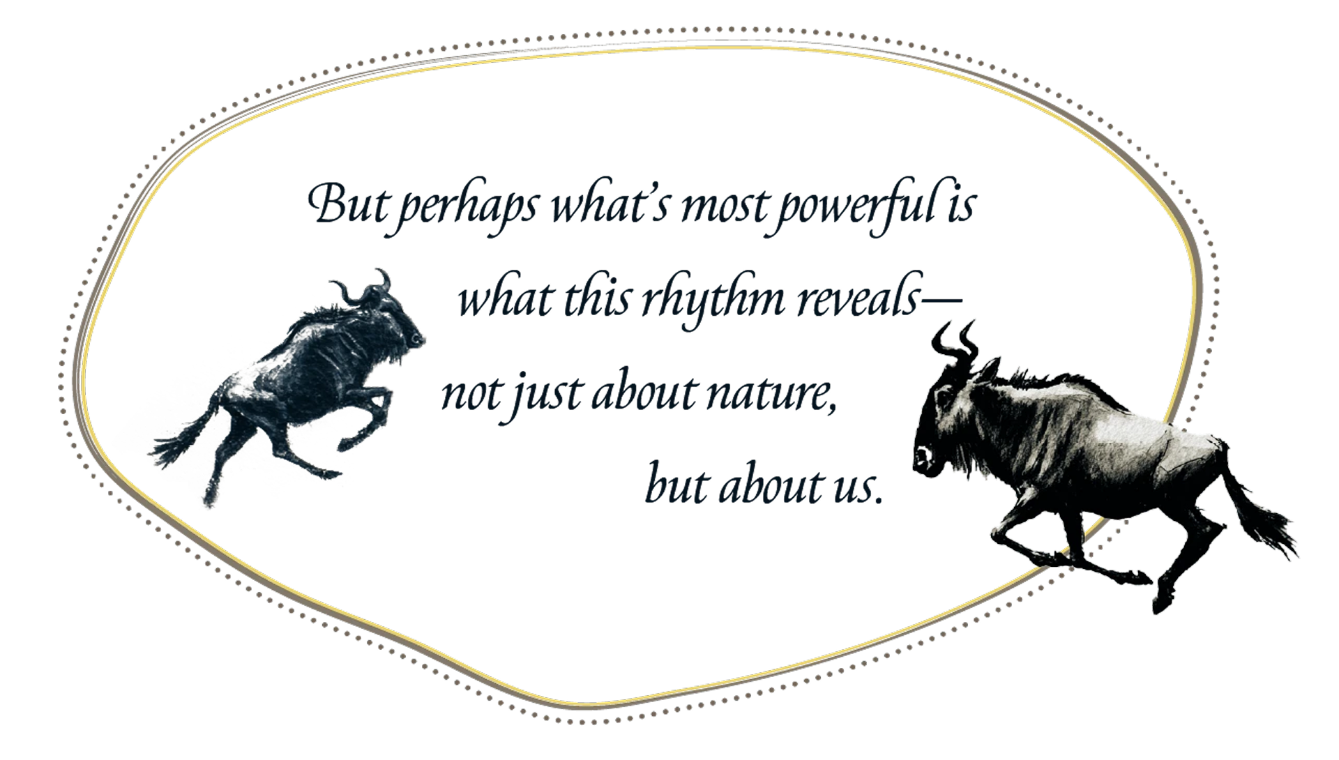 Nature cycles - Migration
