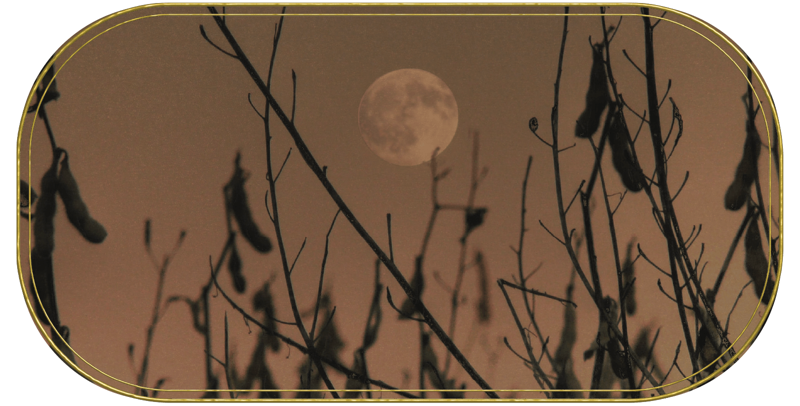 The Autumn Moon