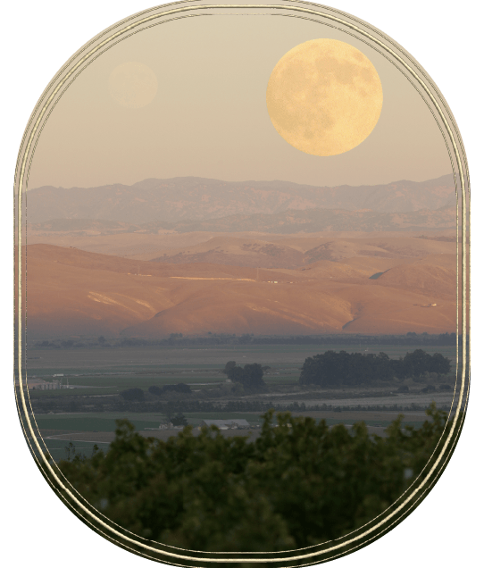 Lessons from Harvest Moon