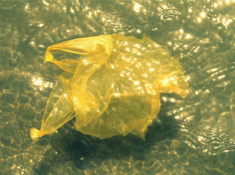 Plastic bag in water