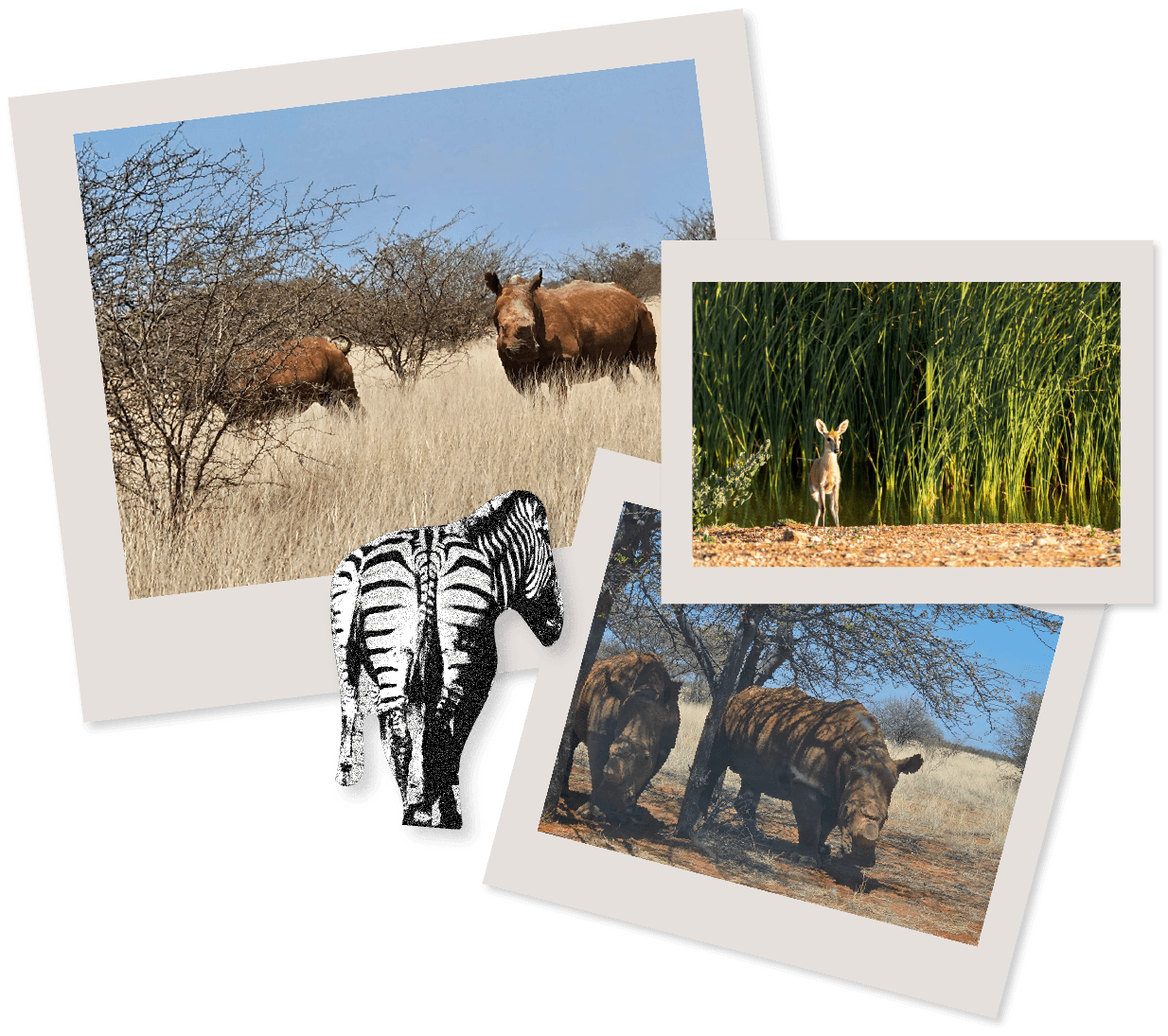 Mapungubwe National Park