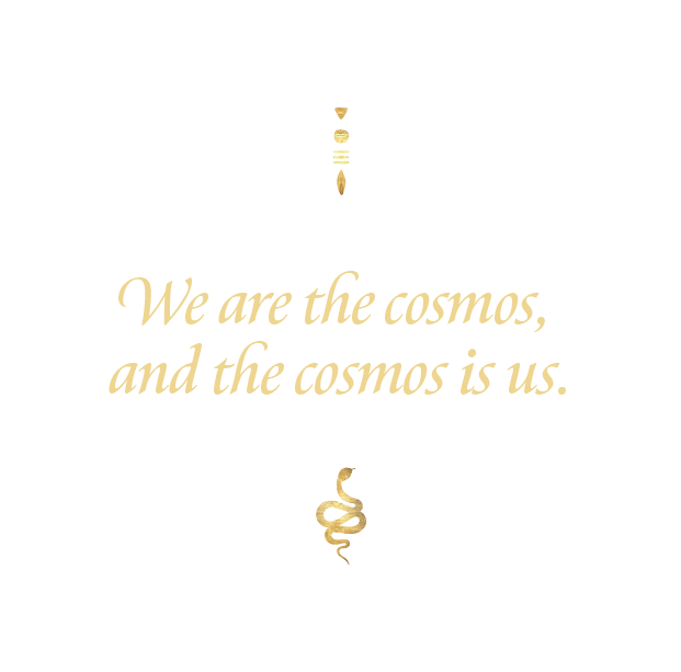 We are Cosmos & Cosmos is Us