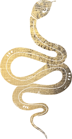 Aranyani - Snake Icon