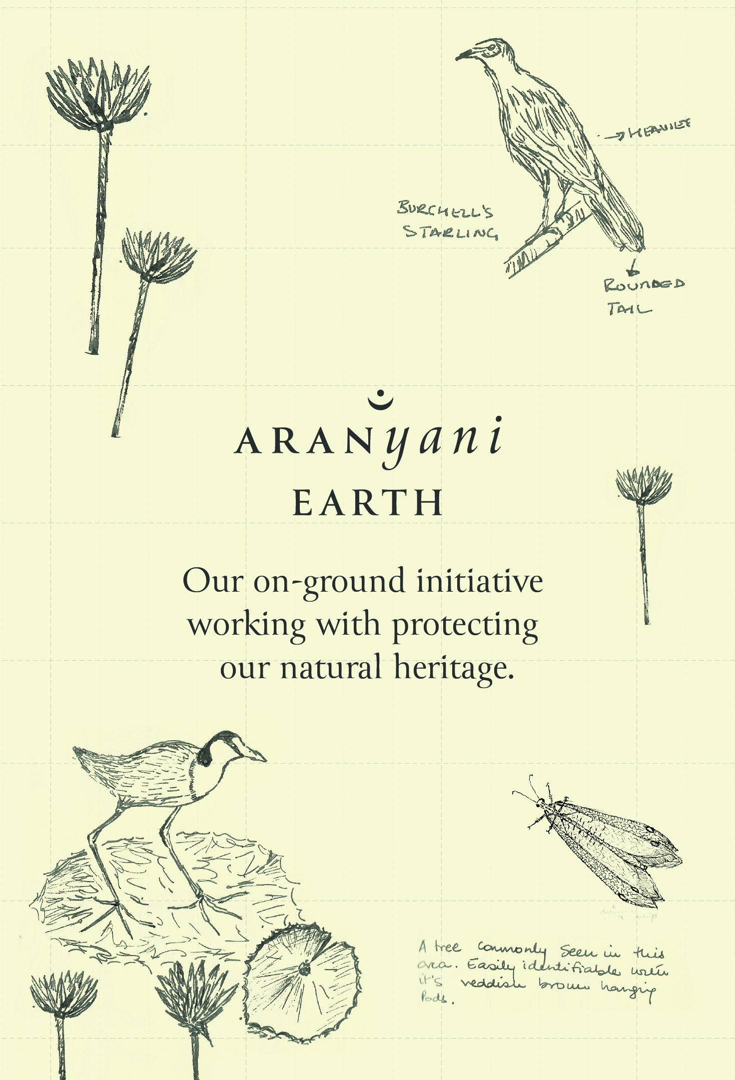 Aranyani Earth