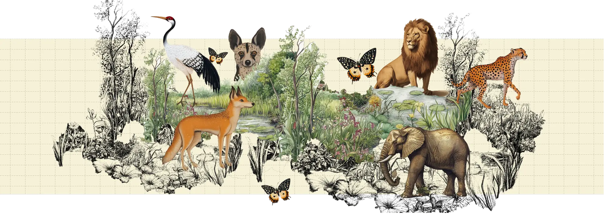 Ecosystem Restoration Frame