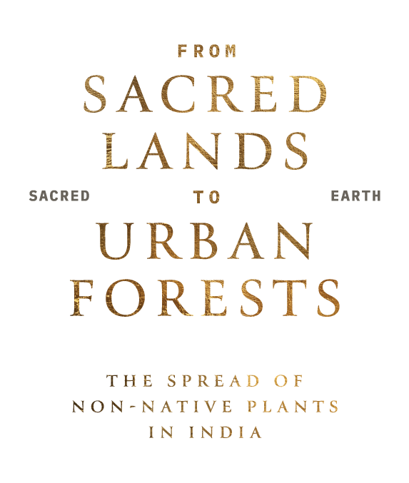 From Sacred Lands to Urban Forests Banner