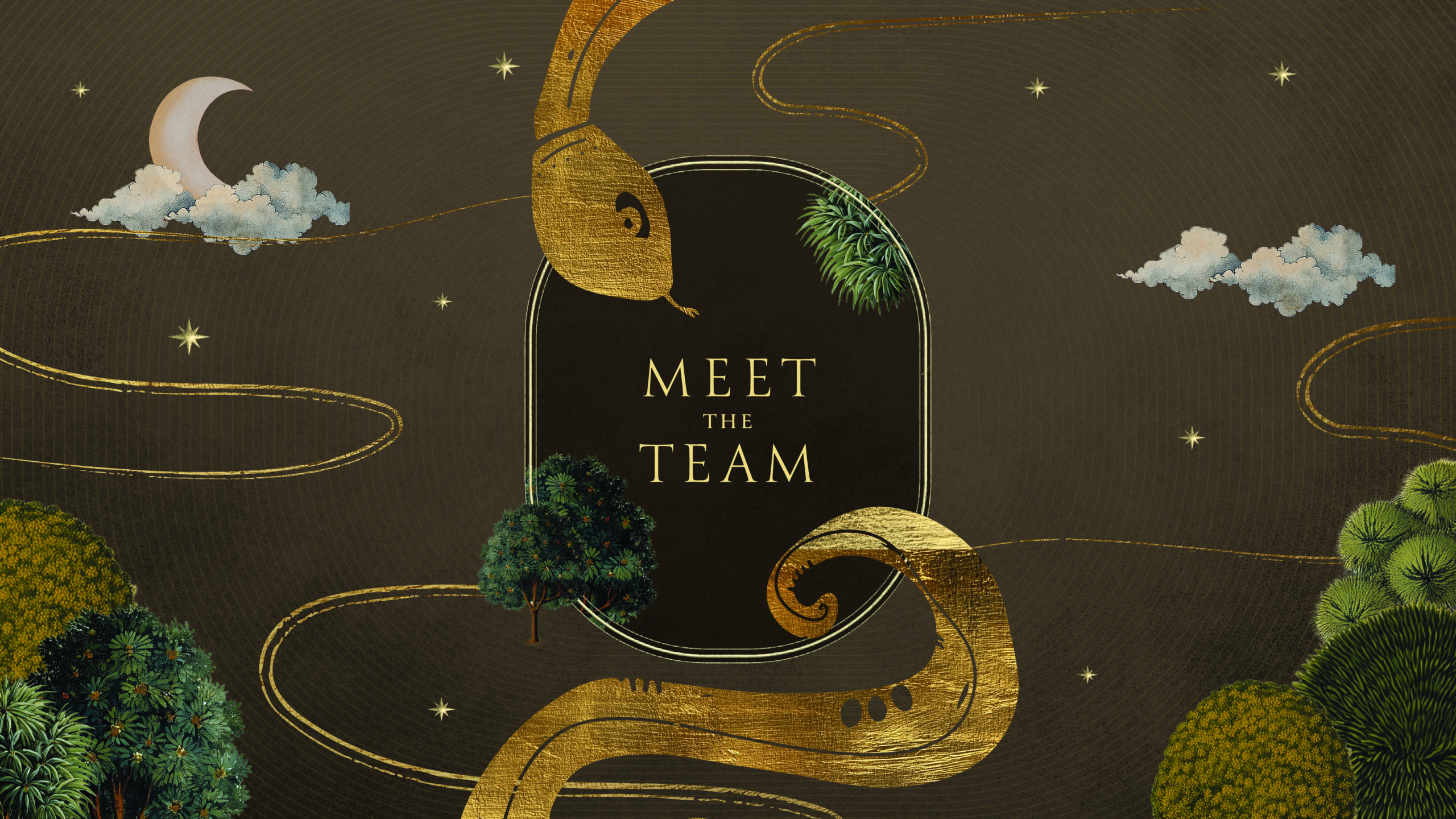 Meet the Team