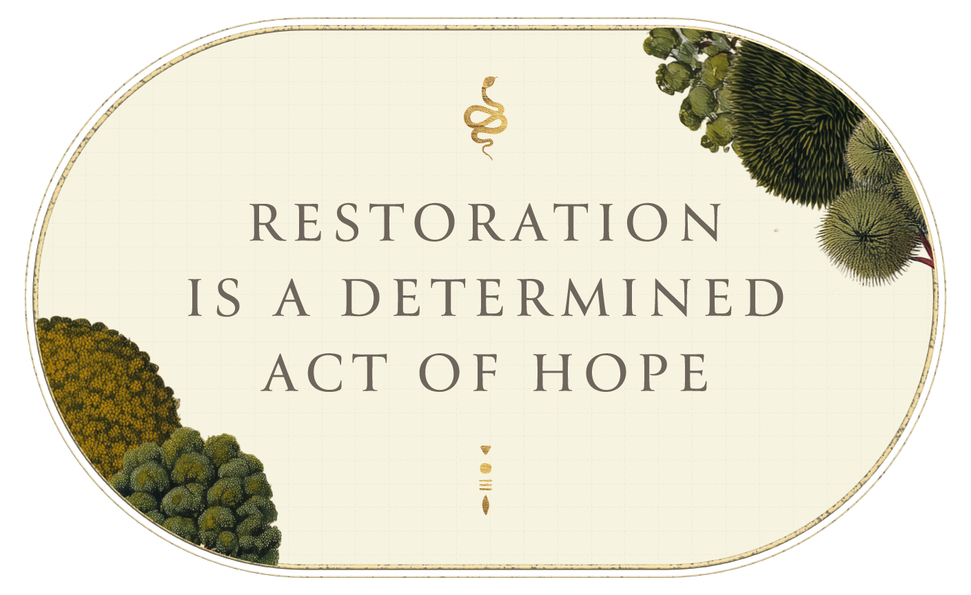 Aranyani Earth_Restoration