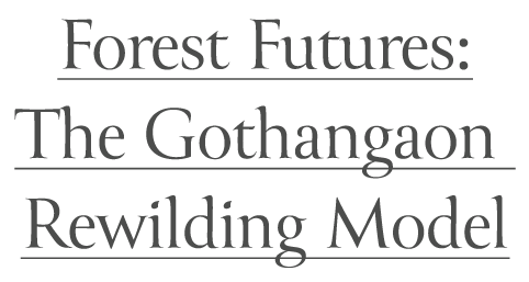 Forest Futures: The Gothangaon Rewilding Model Banner