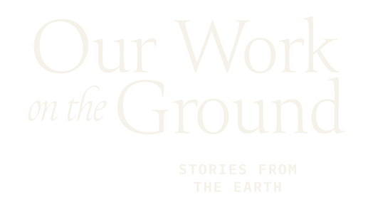 Our Work on The Ground Banner