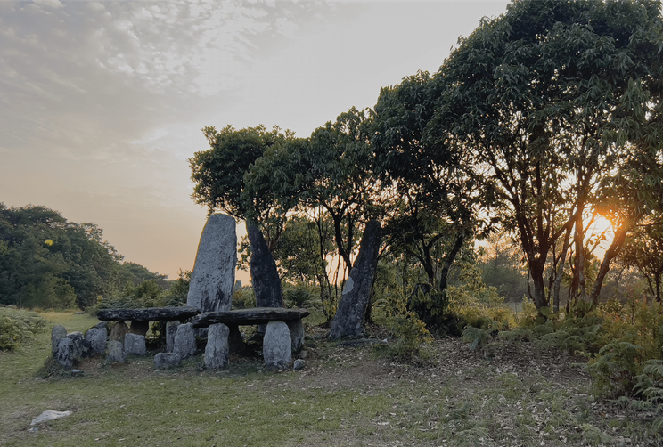 Mawphlang Sacred Grove