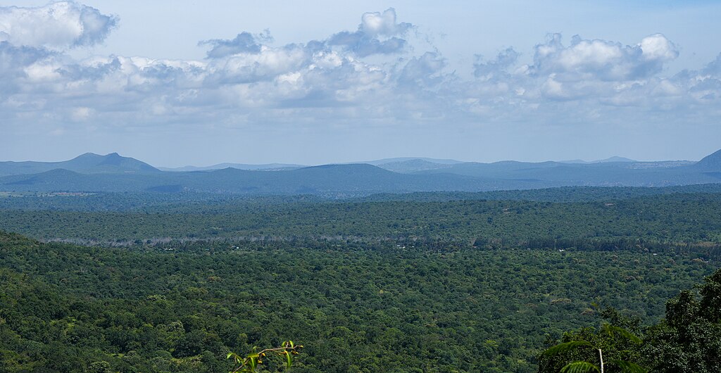 Mudumalai Tiger Reserve