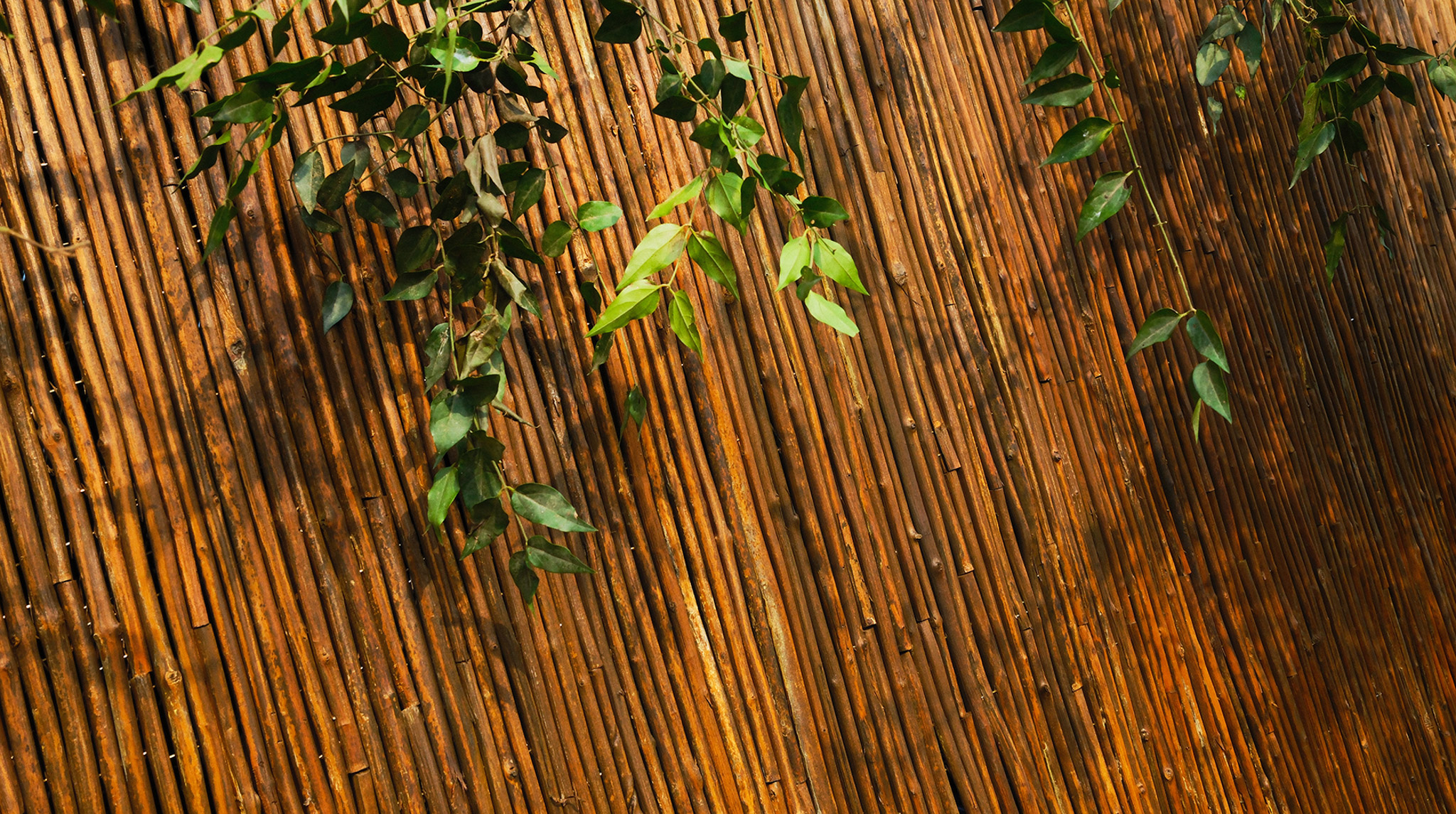 green sustainable architecture