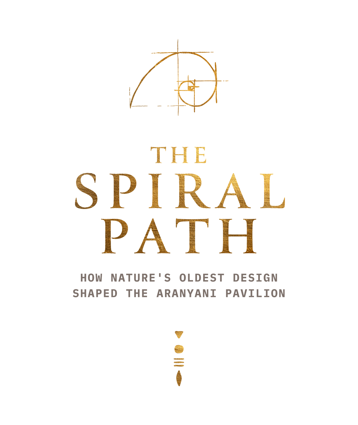 The Spiral Path: How Nature’s Oldest Design Shaped the Aranyani Pavilion Banner